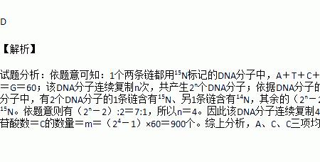 什么叫分子个数