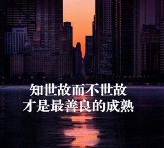 太世故了这句话什么意思