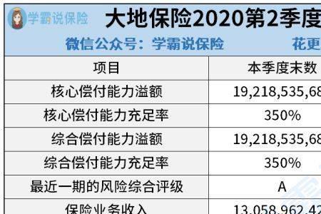 大地保险的学生保险怎么报销