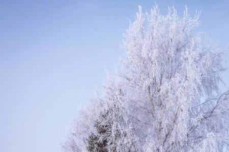 描写冰雪如青春奋进的诗句