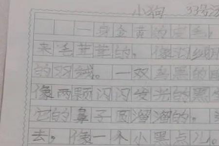 仿写小动物50字写外形