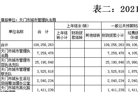 预算金额啥意思