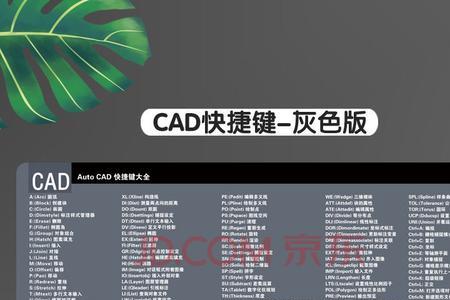 cad导入ai都是断线