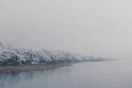 雪夜繁华是什么意思