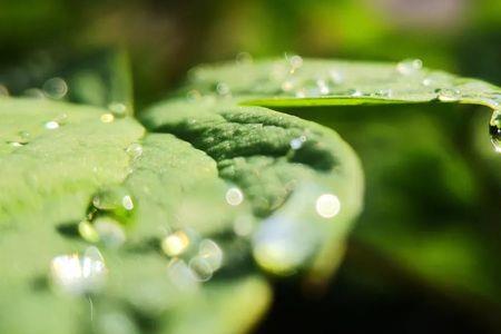 细丝如雨的意思