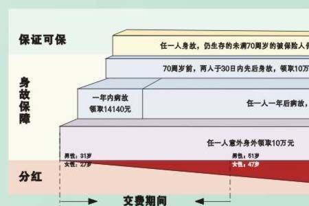 民生保险分红型交20年