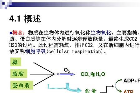 生物氧化的特点和方式是什么