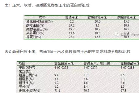 饲料中有哪些主要营养成分