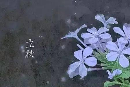 卿如雾里花是什么意思