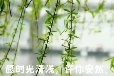 承蒙岁月不弃什么意思