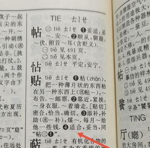 12笔的字新华字典