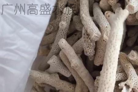 珊瑚骨用什么可以粘起来