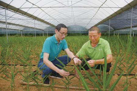 湖北春晖农科院是正规的吗