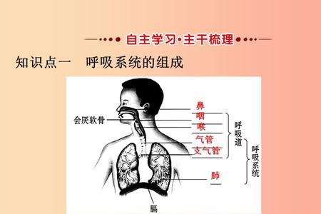 人一生呼吸多少吨空气