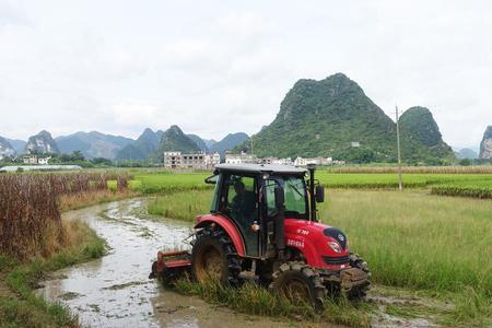 南方夏耕是农历几月