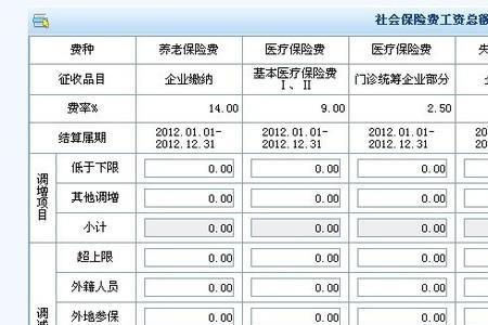 新单位缴纳社保能看到什么信息