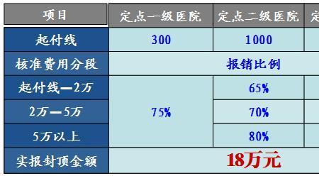 农村医保三级甲等报销比例