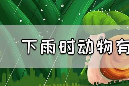 下雨天哪些动物会发生变化