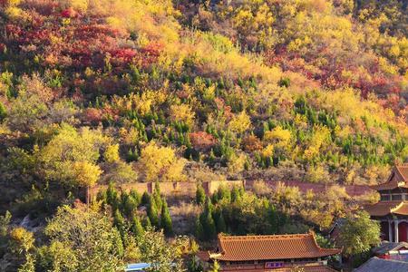 沙河佛照山景区门票