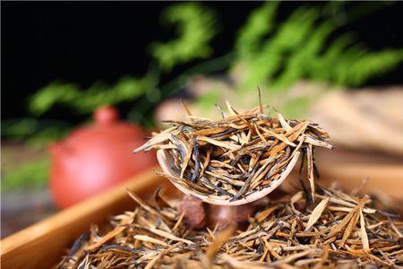 凤庆滇红茶秋茶什么时候采摘