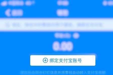 支付宝企业账号支付功能怎么选