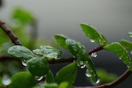 骤雨中的阳光续集结局