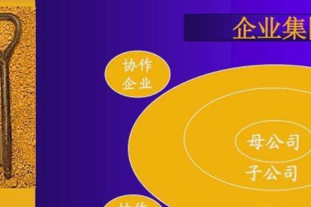 合资公司与分公司区别