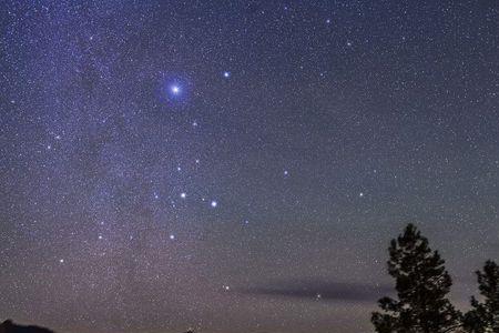 西北方一颗最亮的星是什么星座