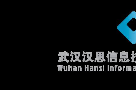 武汉楚兴技术有限公司怎么样