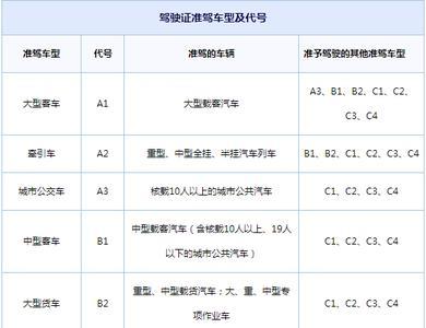 c1以上驾照什么意思