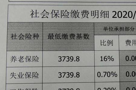 坐牢服刑时的医疗保险怎么交的