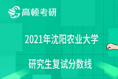 沈阳农业大学考研电气工程如何