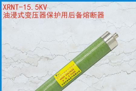 10kv250kva变压器用多大熔断器