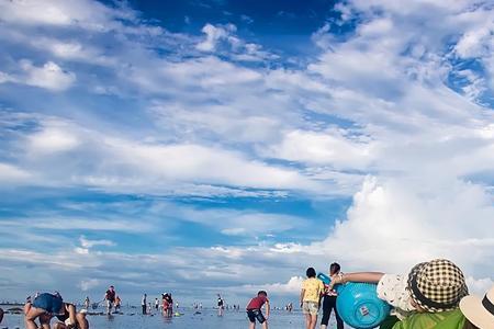 泊里赶海最佳时间