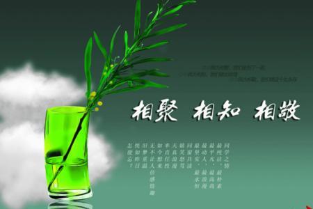 情谊跟什么词配对