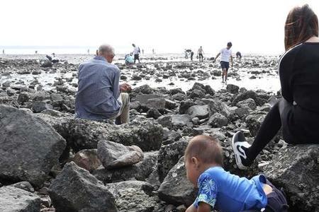 泉州10月赶海最佳时间