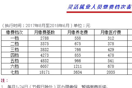 自由职业医保缴费标准河南