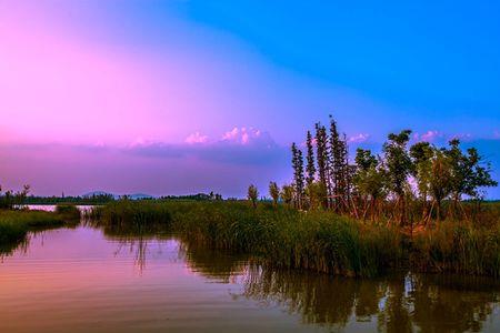 雁翅九河湿地公园门票