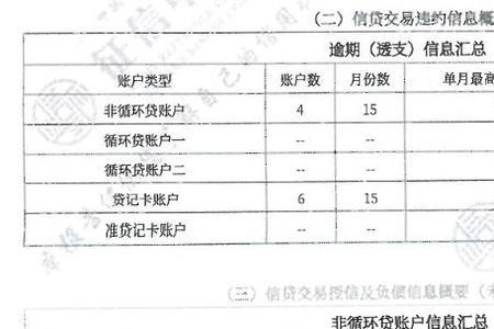 信用报告中的其他是什么意思