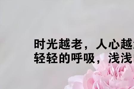 女人看淡一切释然短文