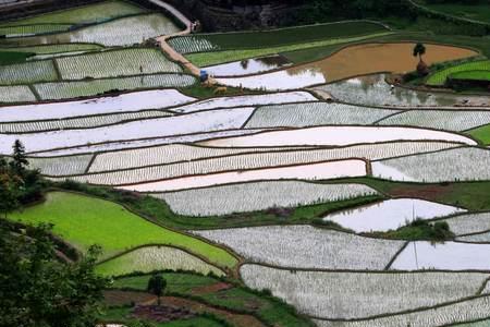 茗岙梯田是风景区吗