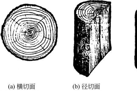 弦向与径向的区别