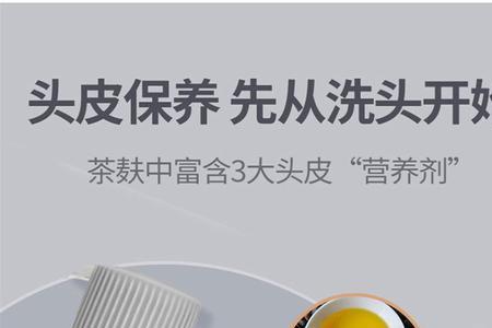 阿道夫和阿道夫茶麸哪个好用