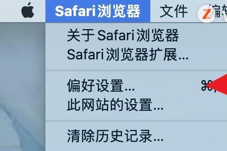 safari浏览器怎么格式化