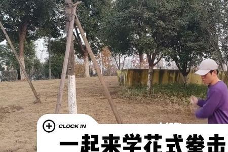 拳击跳绳和普通跳绳区别