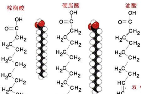 怎样区别饱和键与不饱和键