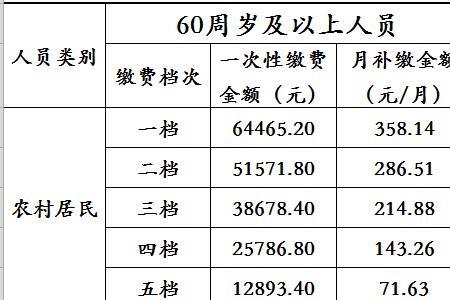 海南城乡居民社保怎么交最划算