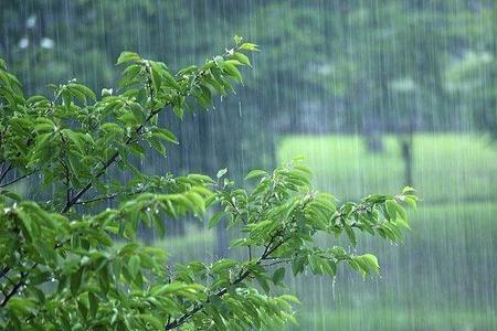 夏天下雨时能用雨水洗澡吗