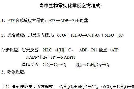 碳和氧气反应的化学方程式