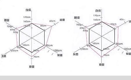 64分身材比例怎么算